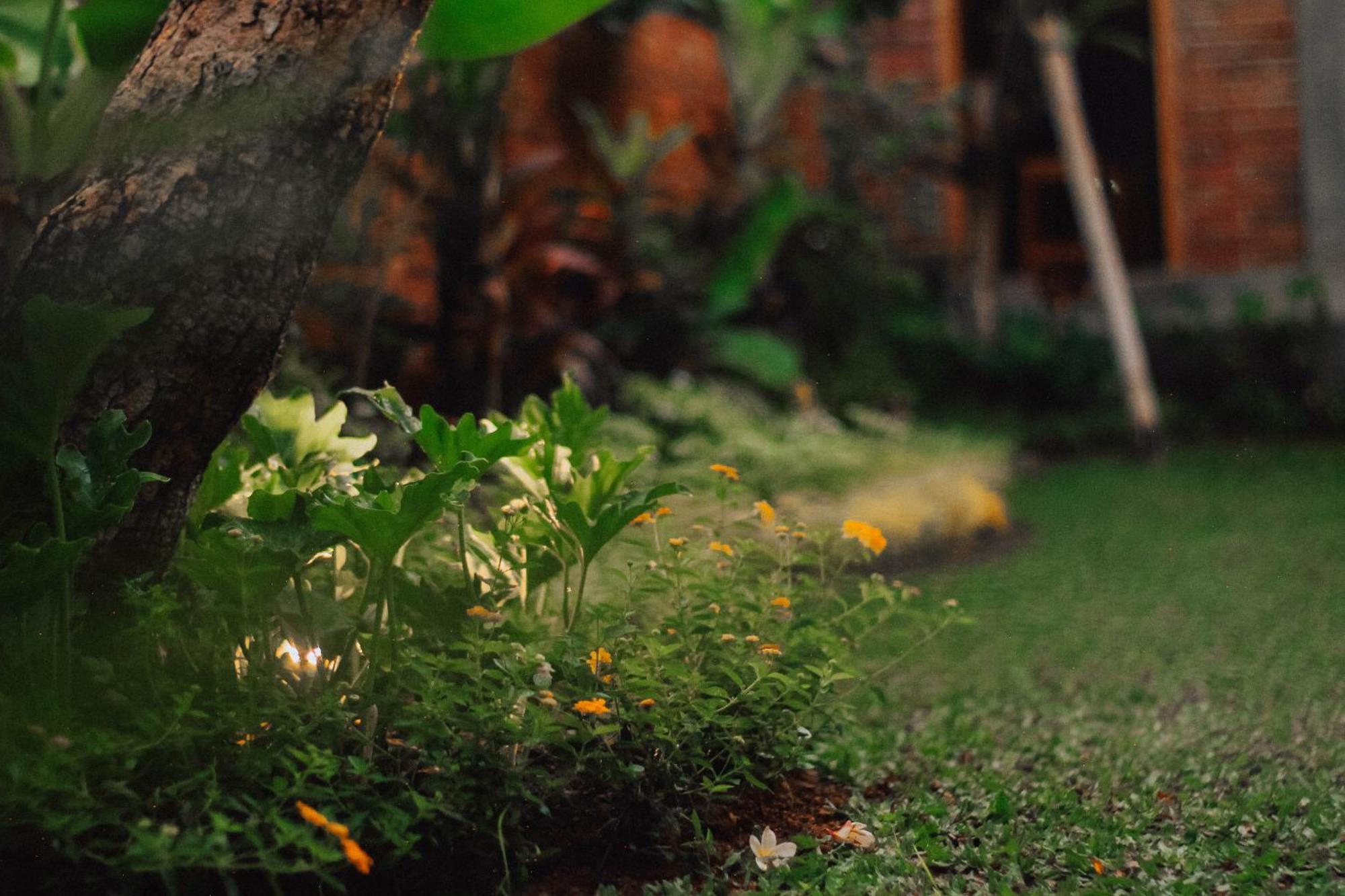 The Govardhan Homestay Canggu Zewnętrze zdjęcie